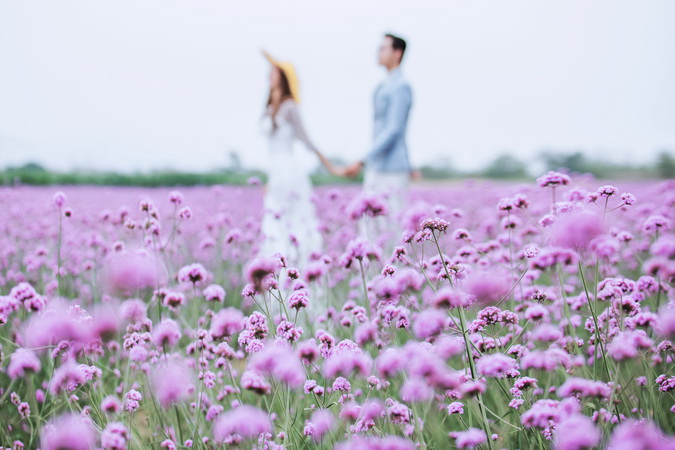 ?旅圖?婚紗攝影 云南?「花開情?！?
                /></div><div   id=