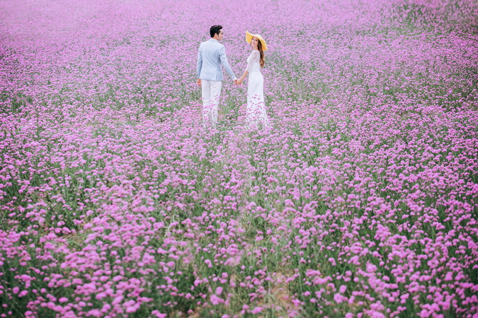 ?旅圖?婚紗攝影 云南?「花開情?！?
                /></div><div   id=