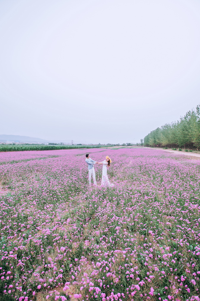?旅圖?婚紗攝影 云南?「花開情海」