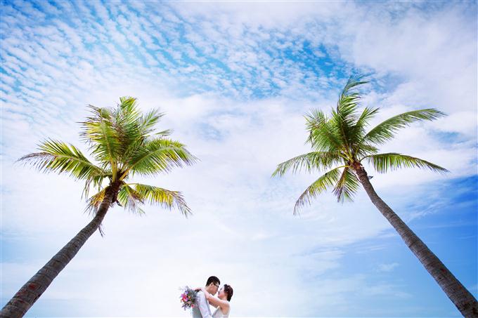 小東海送給崔春旭夫婦祝福永遠(yuǎn)幸?？鞓?
                /></div><div   id=