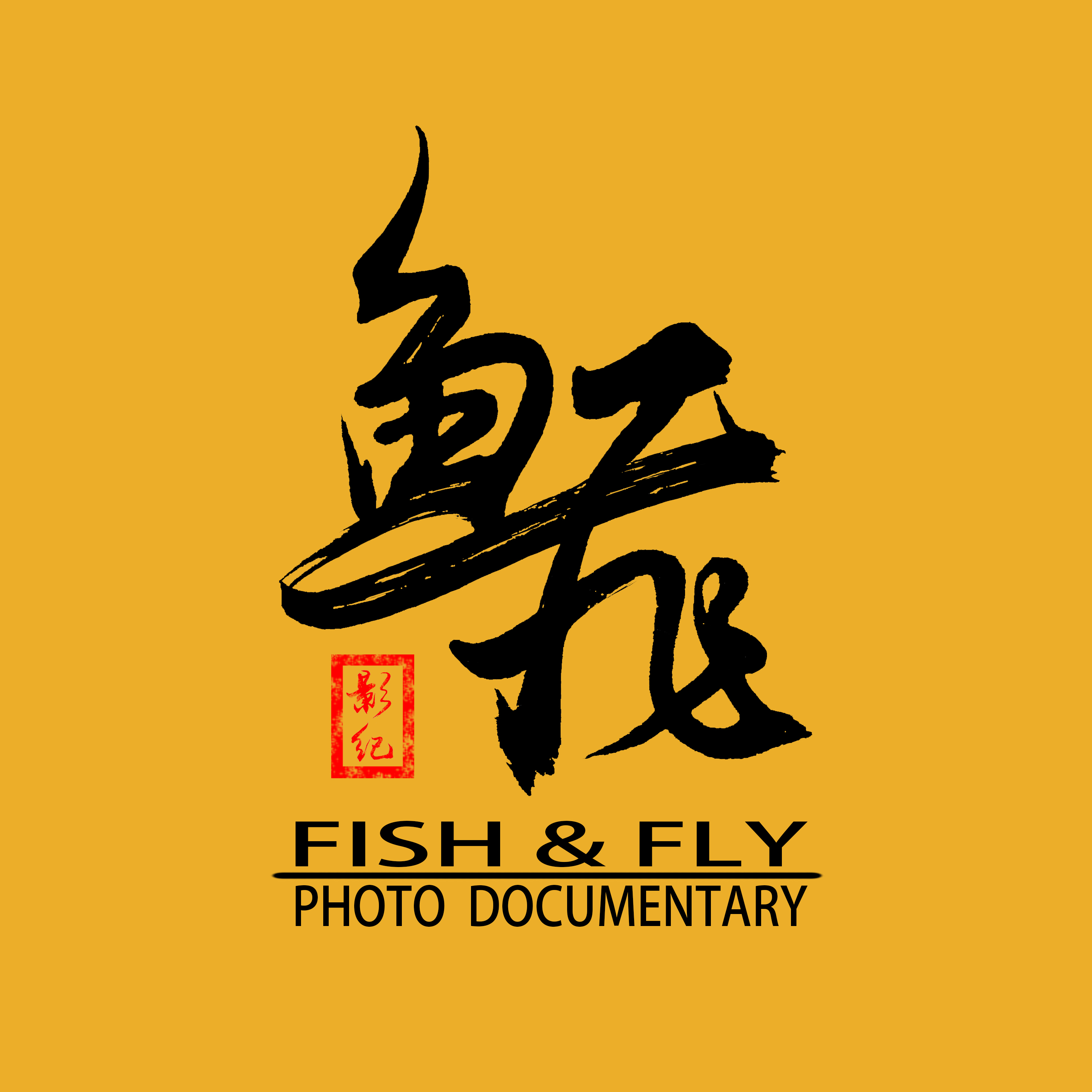 韩晓飞