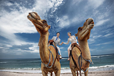 【岛多多全球婚纱摄影】巴厘岛超级“网红”骆驼夫妇