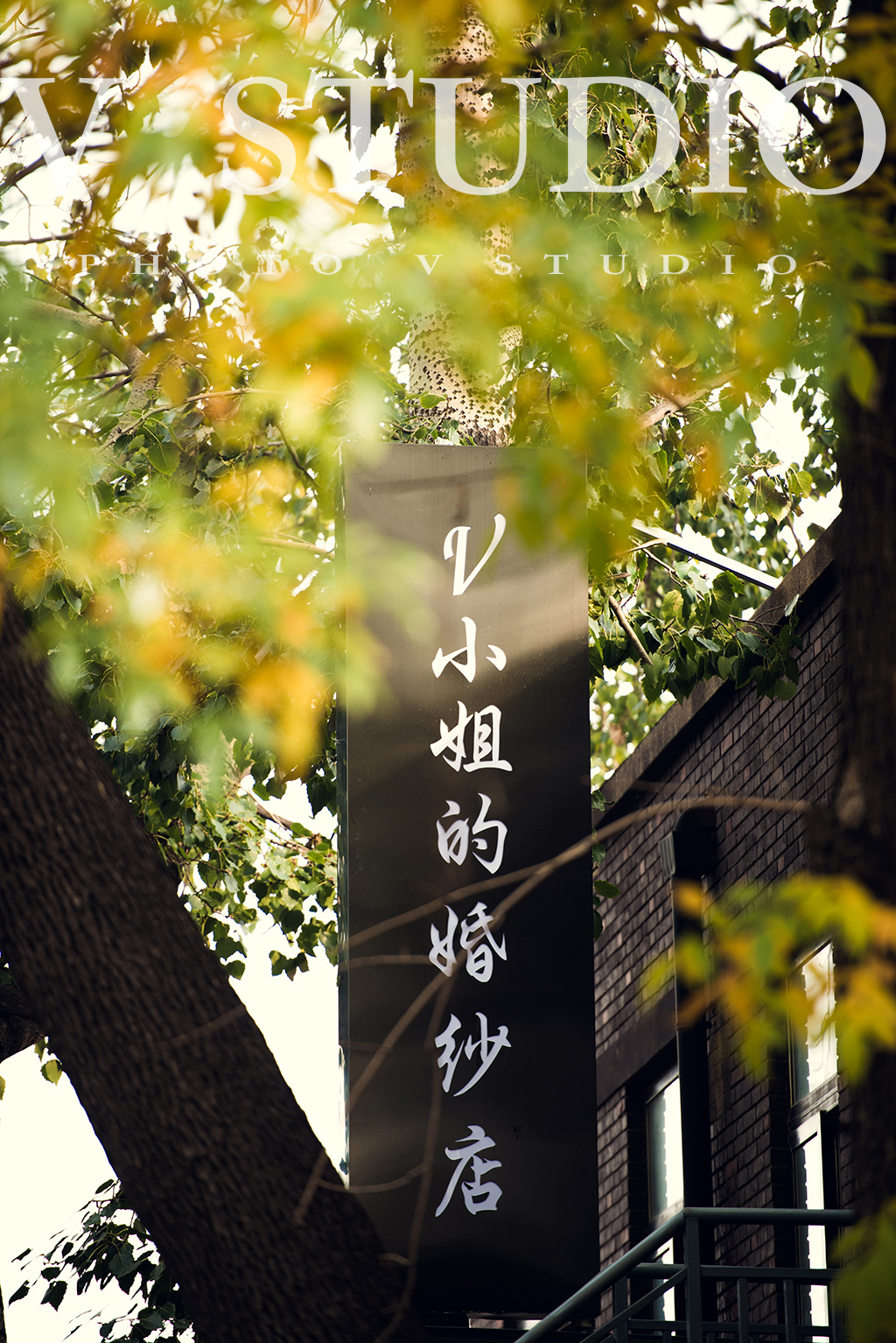 V小姐的婚纱店