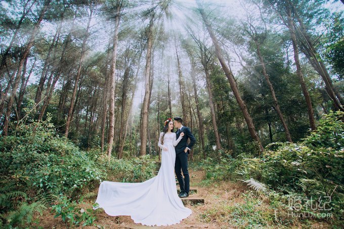 【1976视觉摄影】---森林系