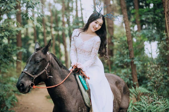 【1976视觉摄影】---森林系