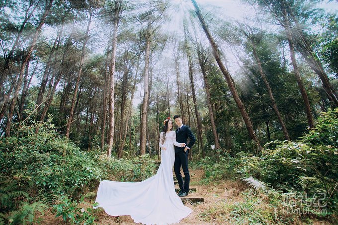 【1976视觉摄影】---森林系