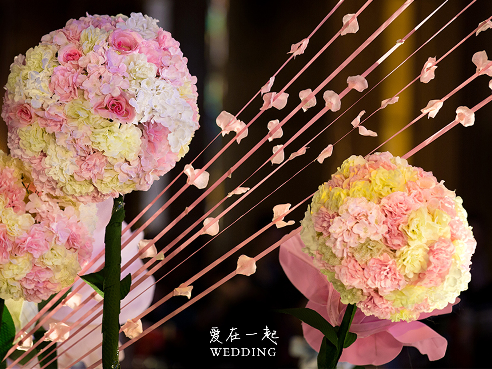 浪漫粉色系 之【緣落花海】