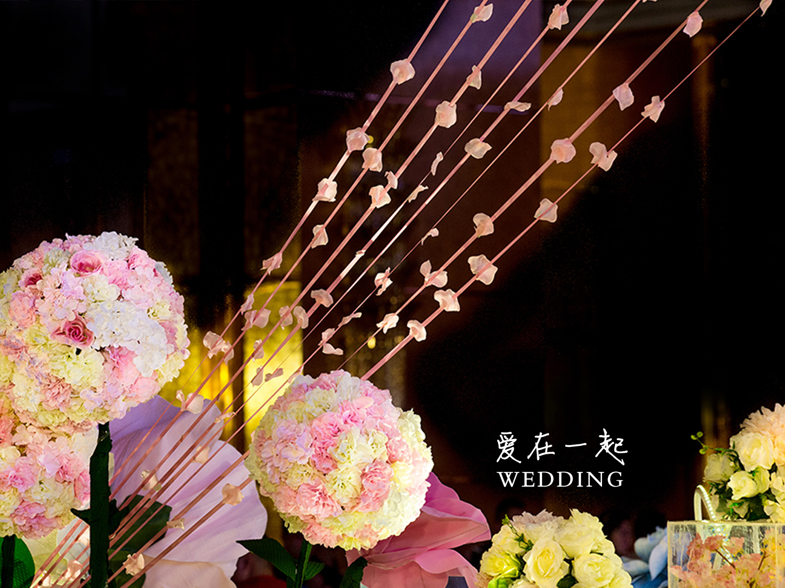 浪漫粉色系 之【緣落花?！?
                /></div><div   id=