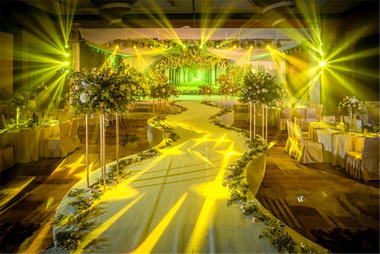 室内森系婚礼：《绿光森林》
