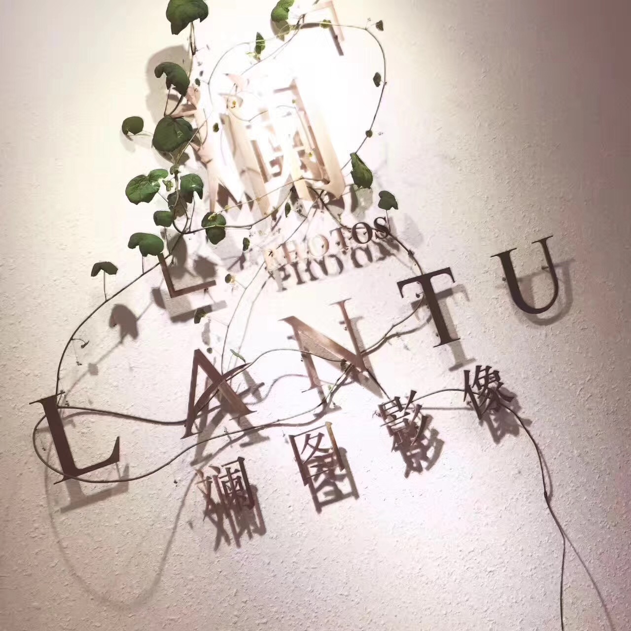 斓图影像工作室