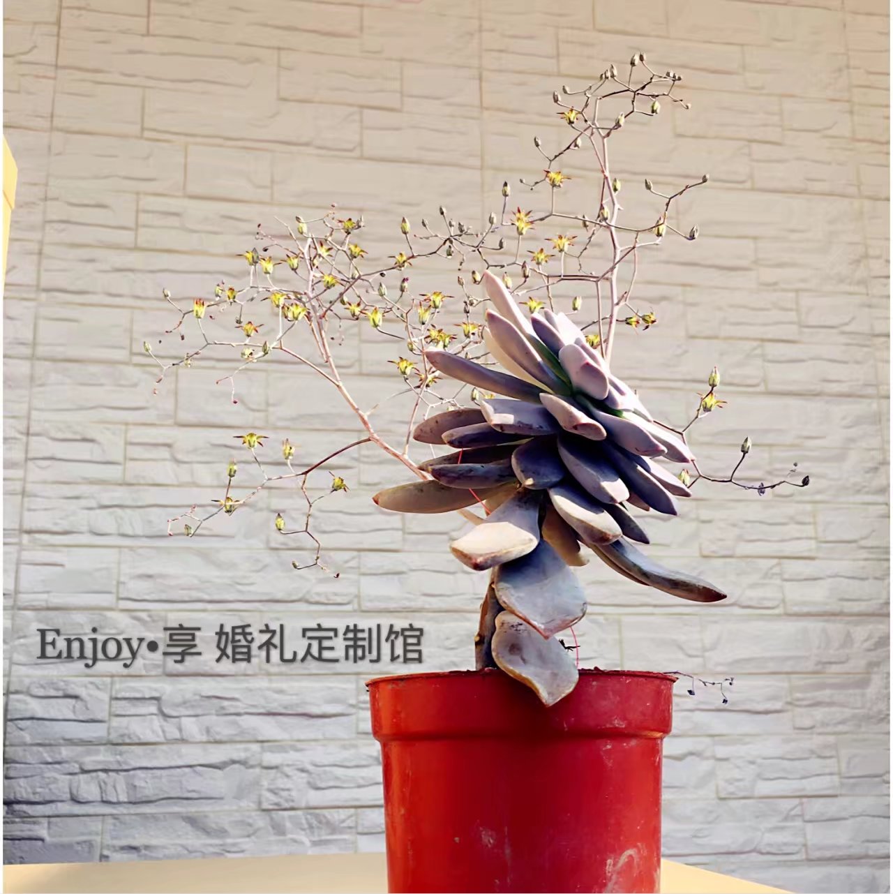 Enjoy 享婚礼定制馆