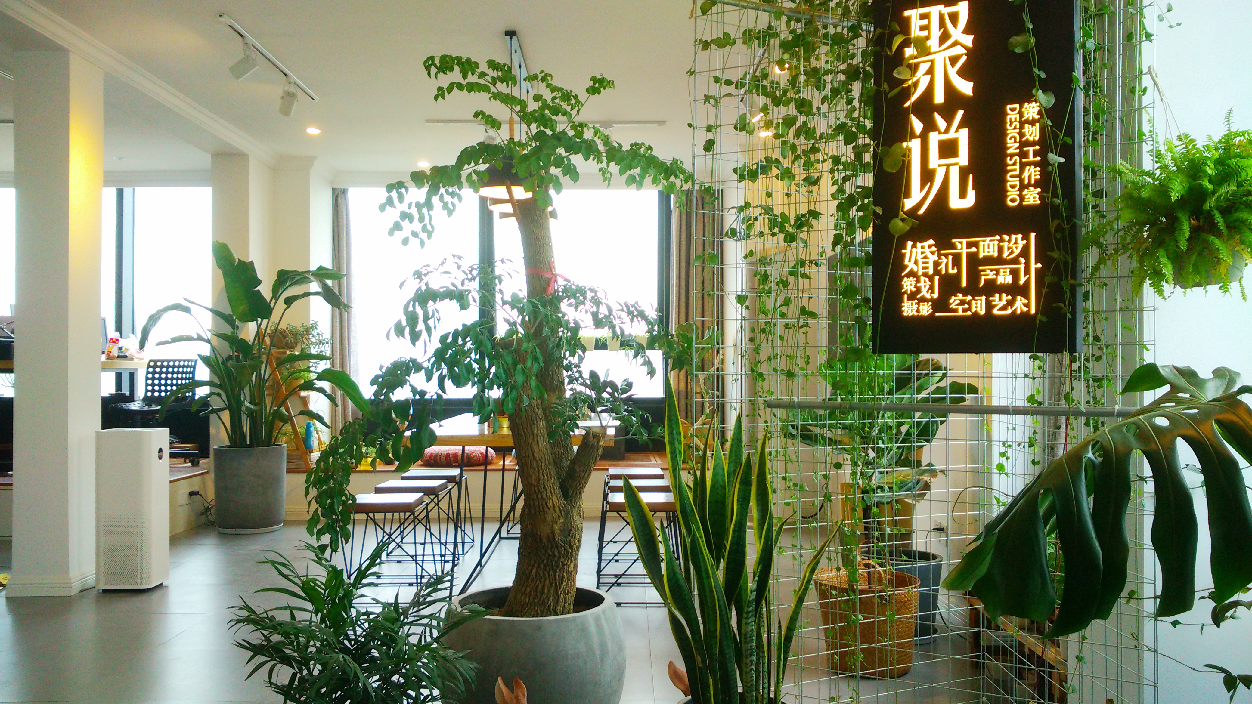 聚说婚礼策划