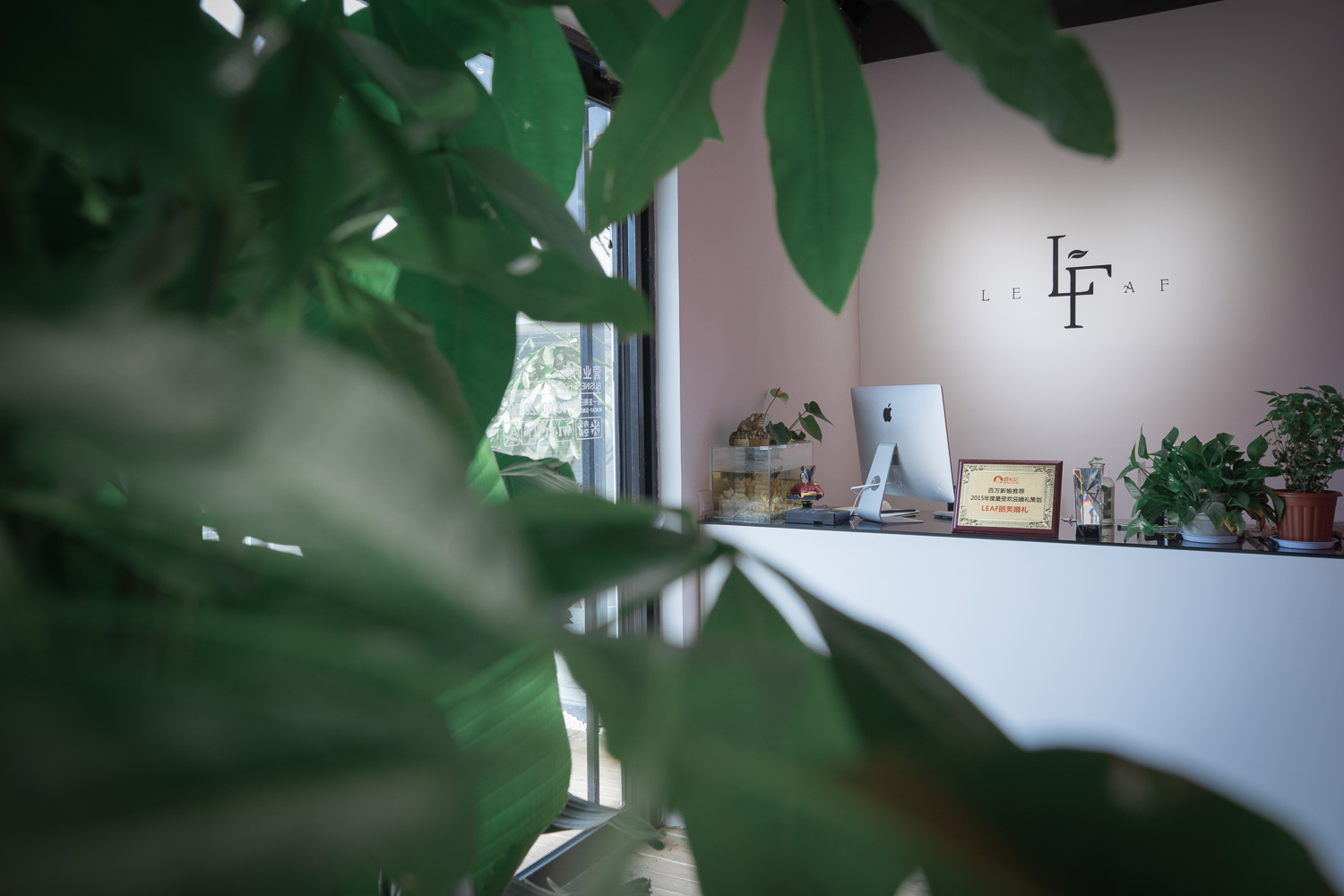 LEAF丽芙婚礼