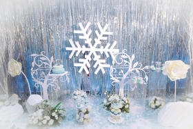 蓝色冰雪主题婚礼——Ice Snow Love。