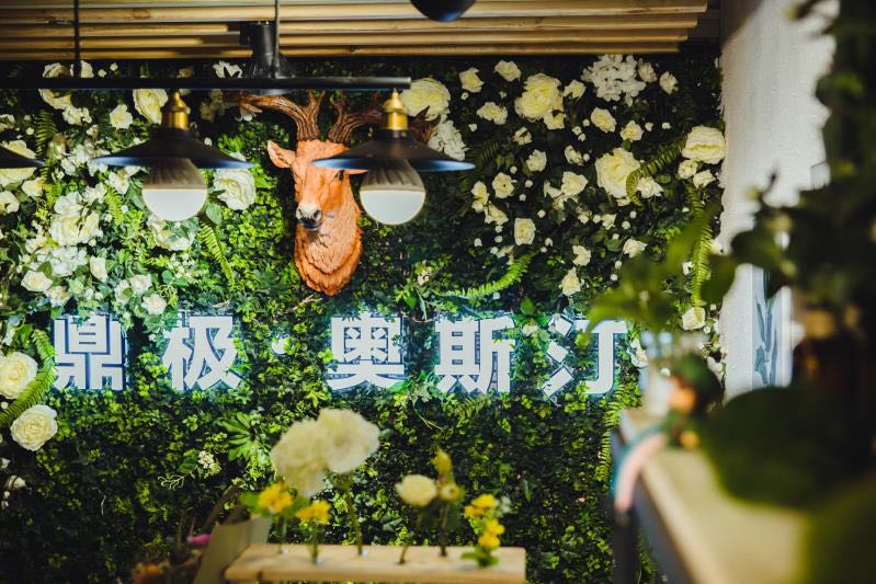 鼎极奥斯汀私人婚礼定制策划