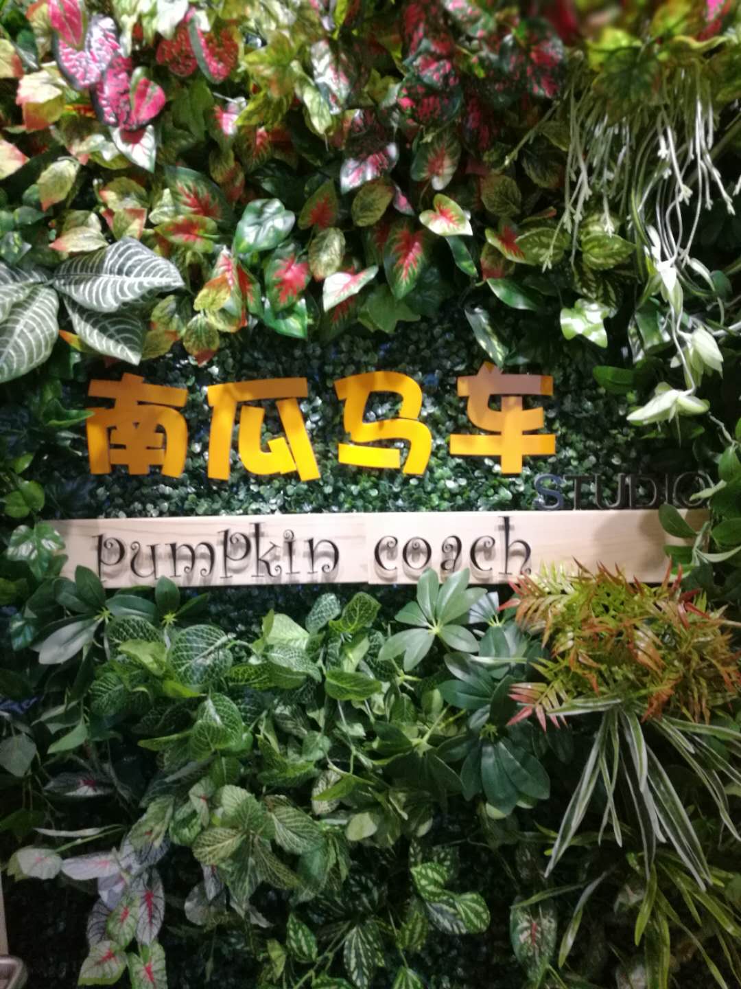 南瓜马车婚礼策划