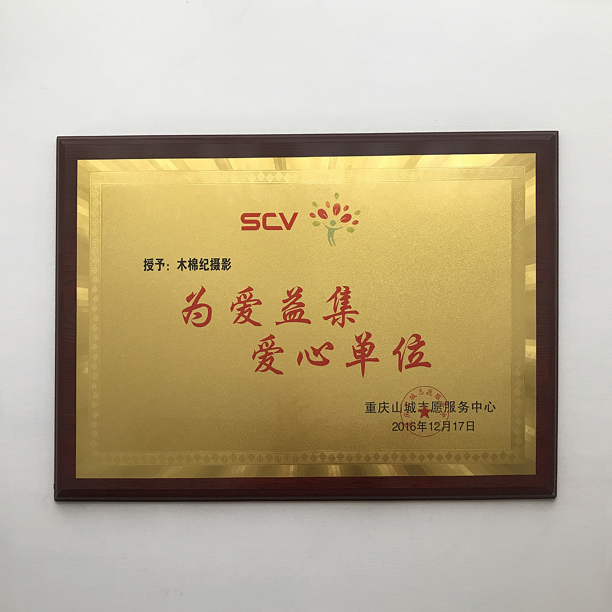 木棉纪摄影