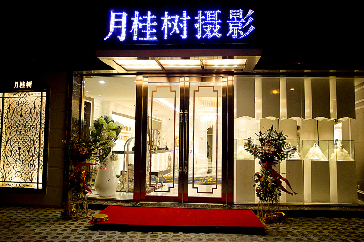 月桂树摄影
