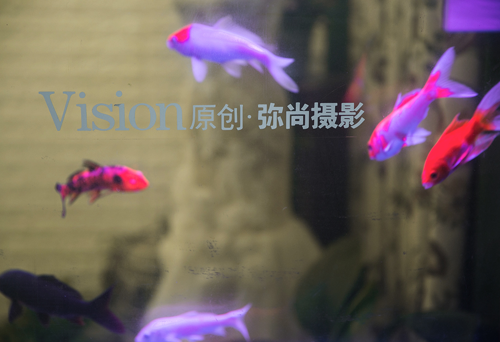 弥尚摄影工作室
