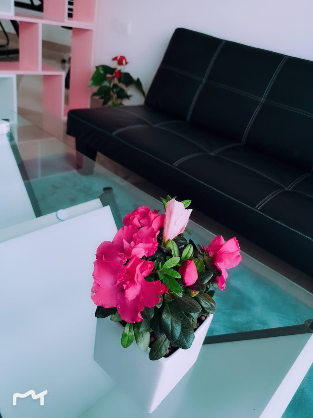 花沐高端婚礼定制