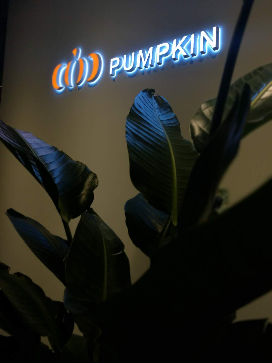 PUMPKIN南瓜马车婚礼