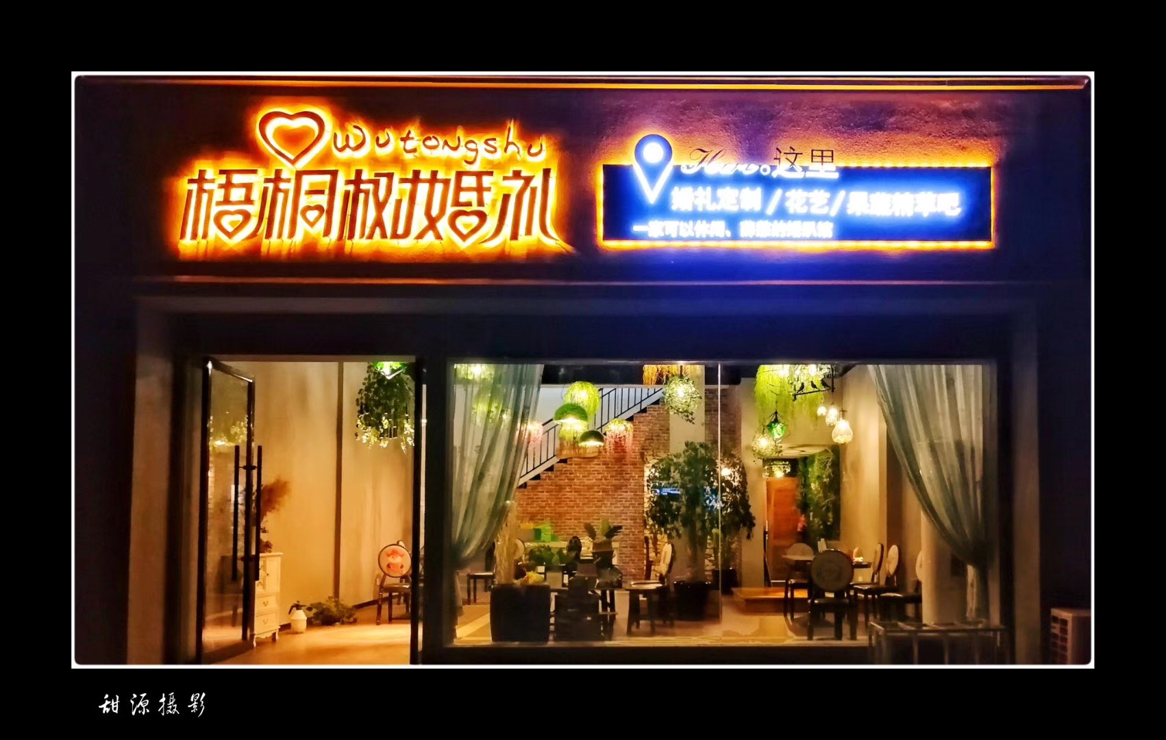 梧桐树婚礼