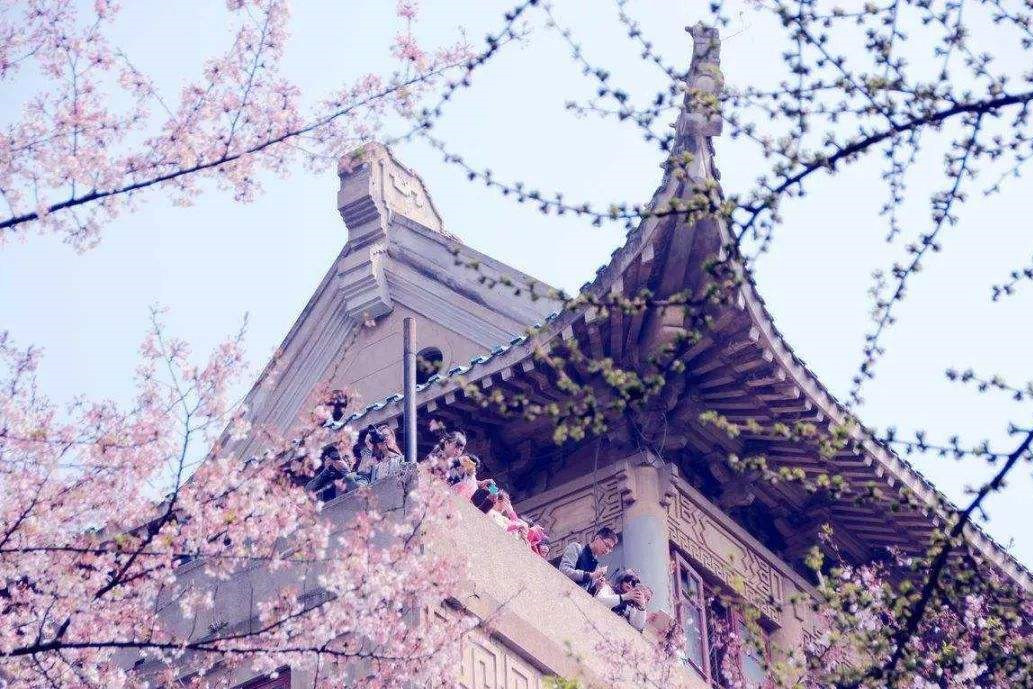 武汉拍婚纱照外景哪里好看