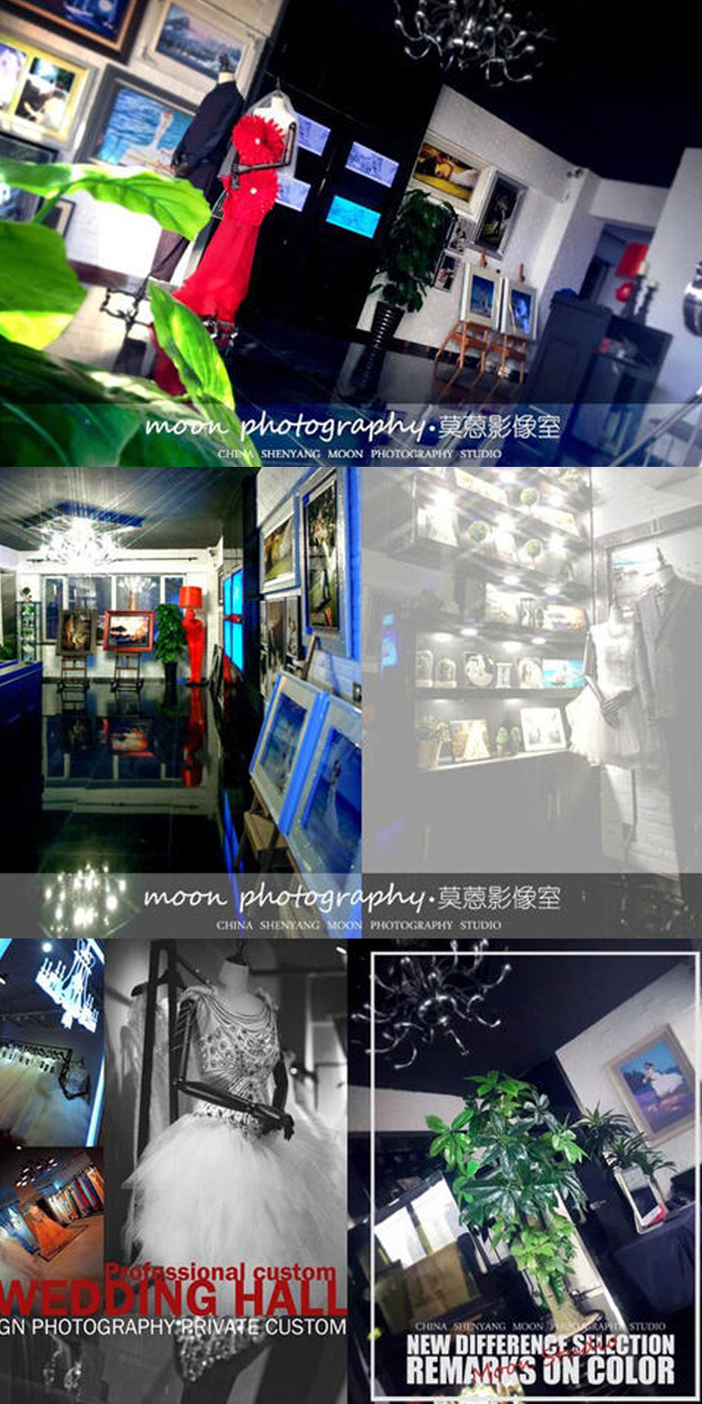 莫蒽摄影工作室MNStudio
