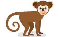 猴和猴相配婚姻如何