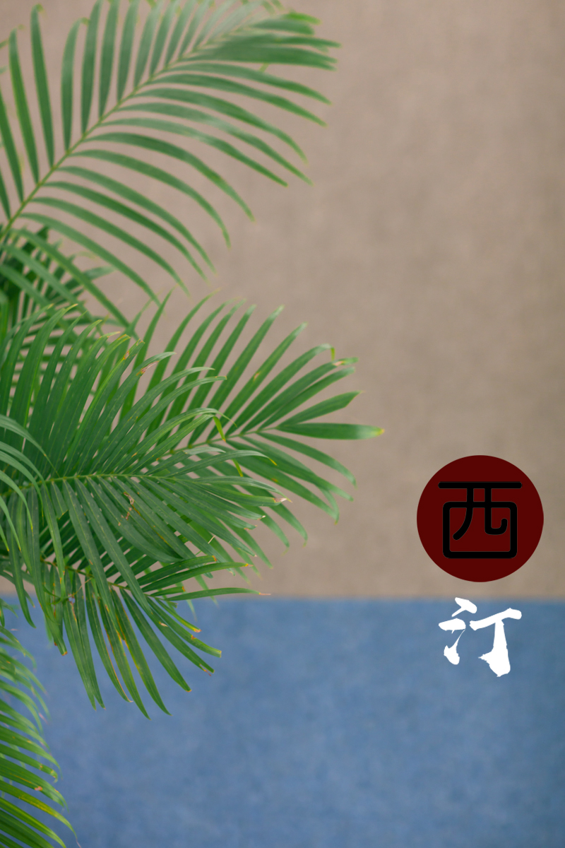 西汀影像
