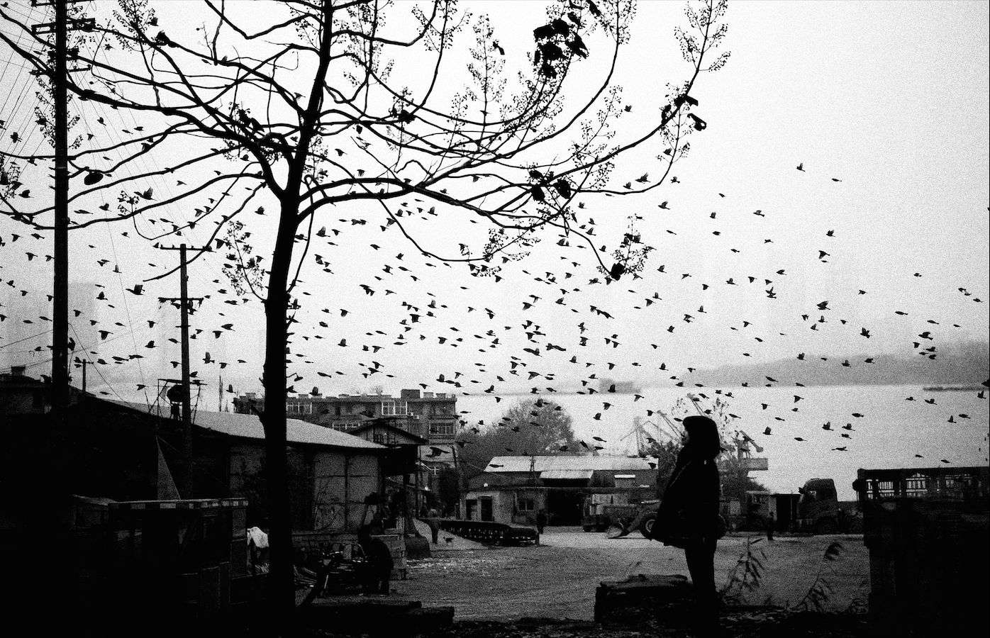 xiejian_测试参数我我我