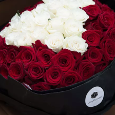 求婚用9朵玫瑰代表什么意思