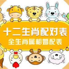 猪和什么属相最配