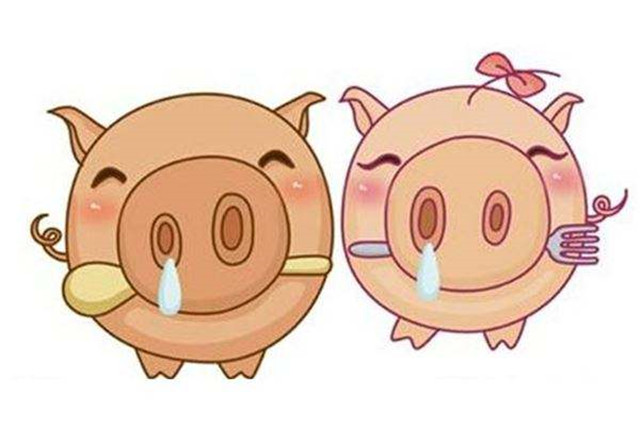 猪和什么属相最配