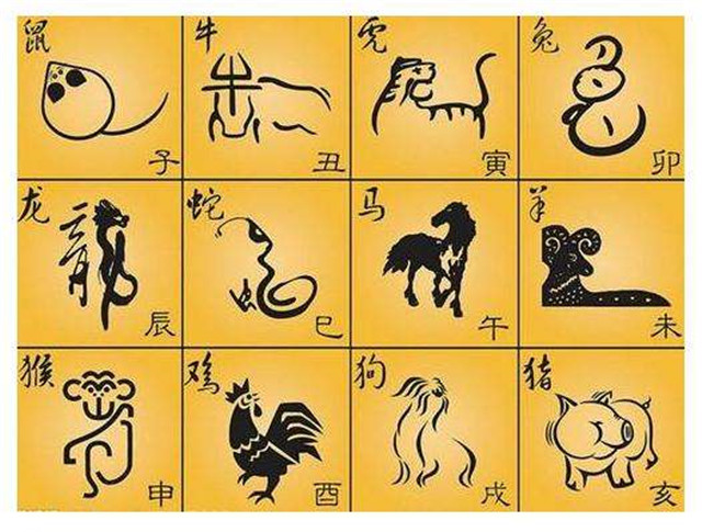 猪和什么属相最配