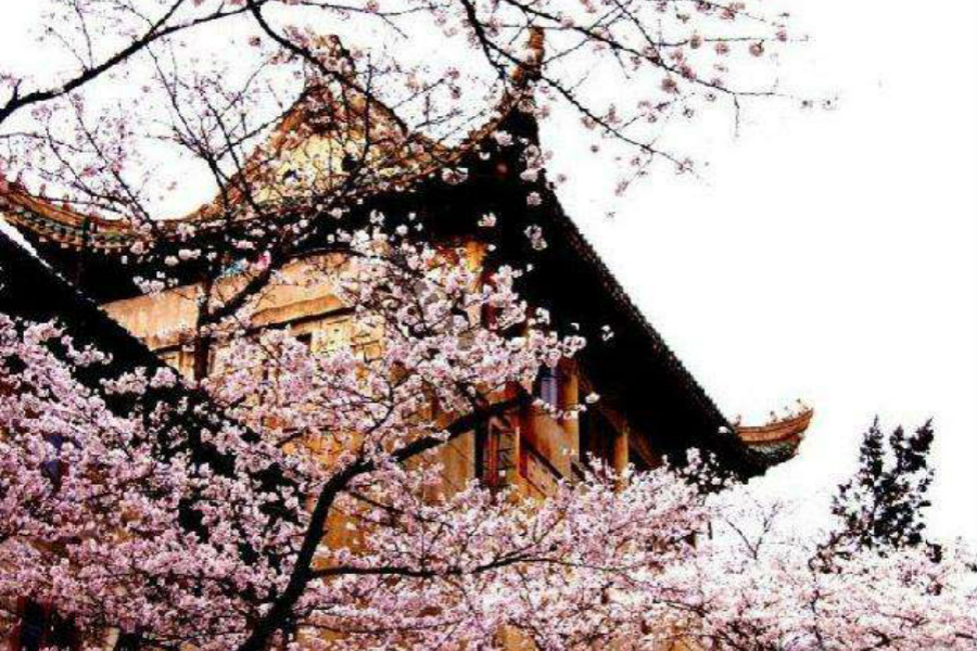 武汉婚纱照外景拍摄地