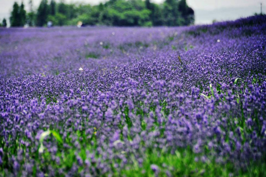 武汉婚纱照外景拍摄地