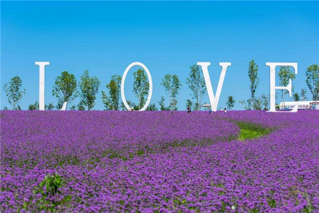 郑州婚纱摄影排名前十的景点