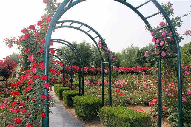 郑州婚纱摄影排名前十的景点