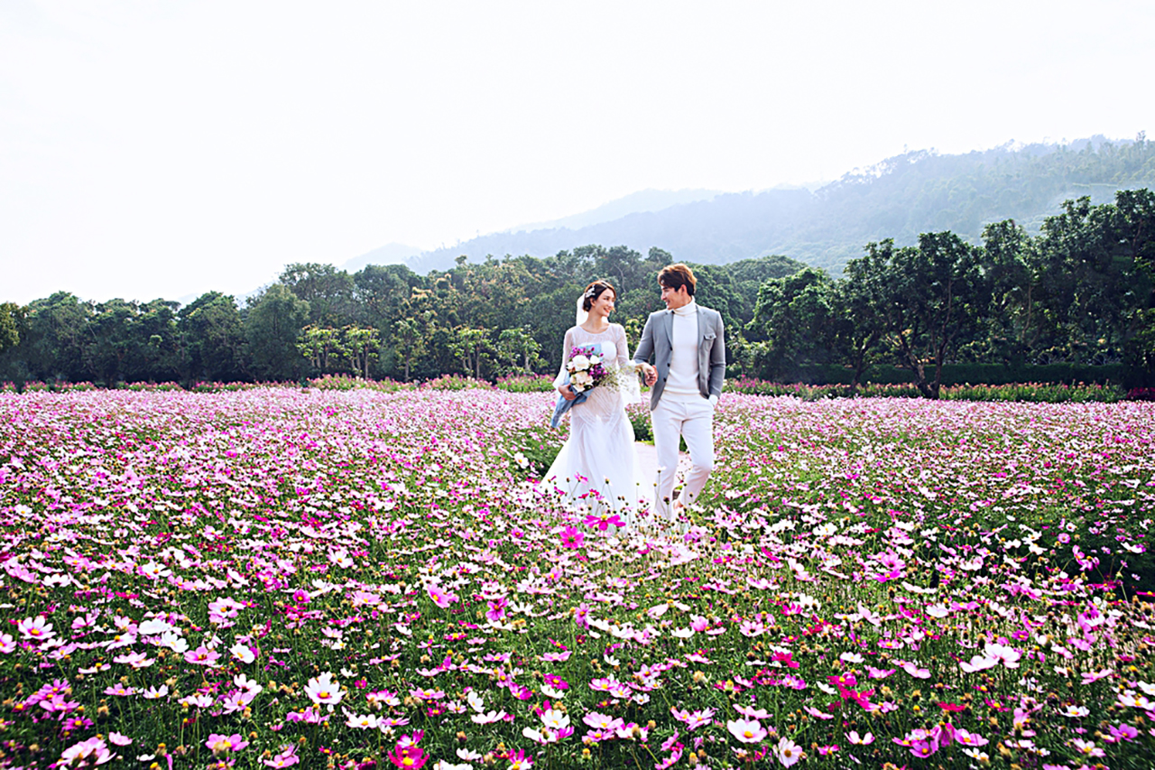 大美映画花海主题——爱情花海