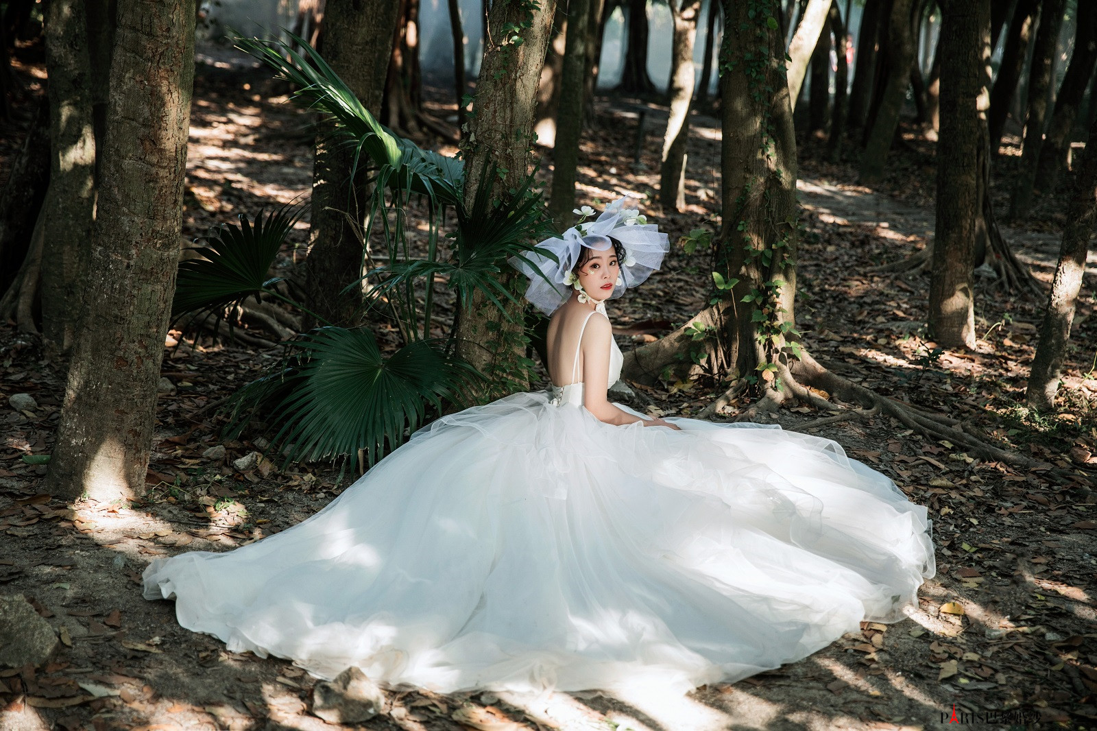 仙气爆棚的森系婚纱照 一种梦幻系的浪漫气息