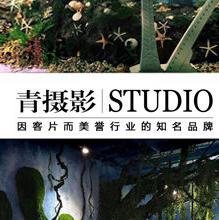 佛山市高明区青影摄影工作室