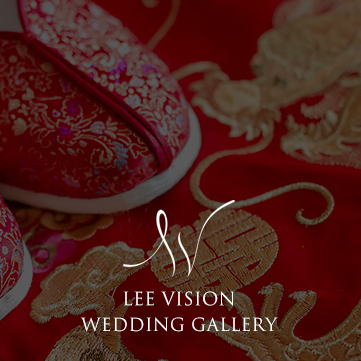 LEEVISION