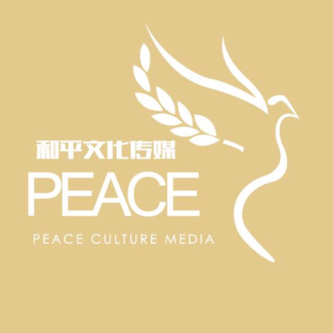 和平文化传媒