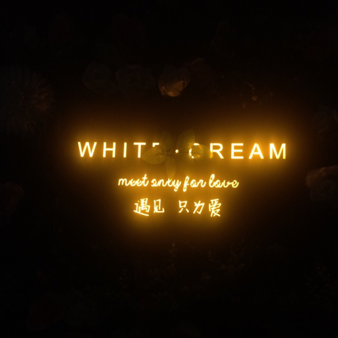WHITE.DREAM婚纱美妆馆