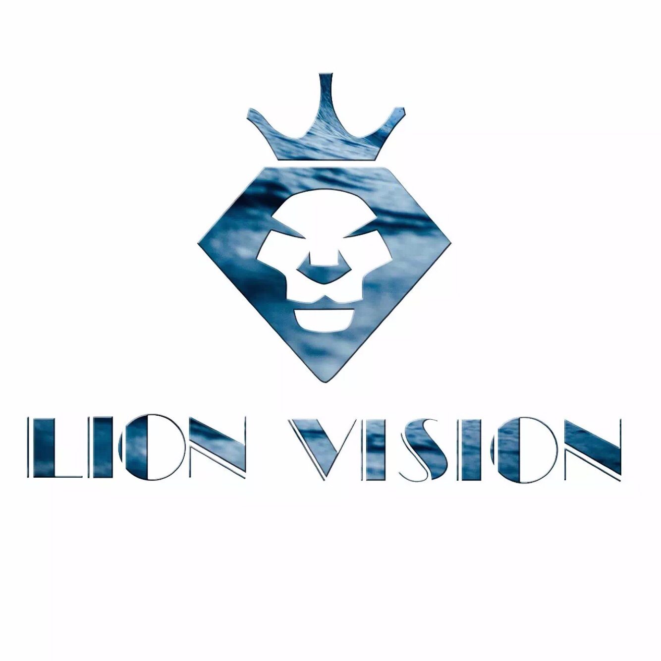 LionVision