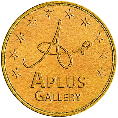 A-Plus国际摄影艺术廊