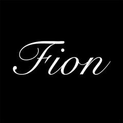 FionVision