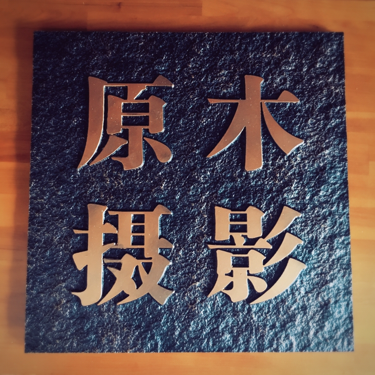 原木摄影