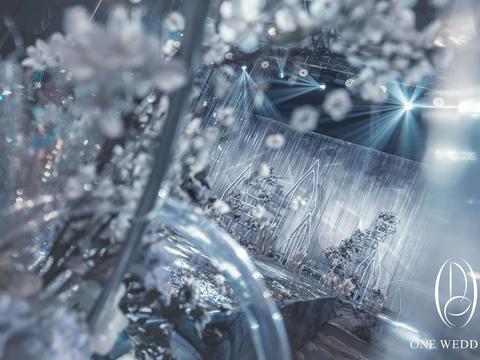 「CrystalDragon」水晶蜻蜓|万达瑞华